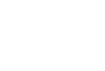 Big Green Egg