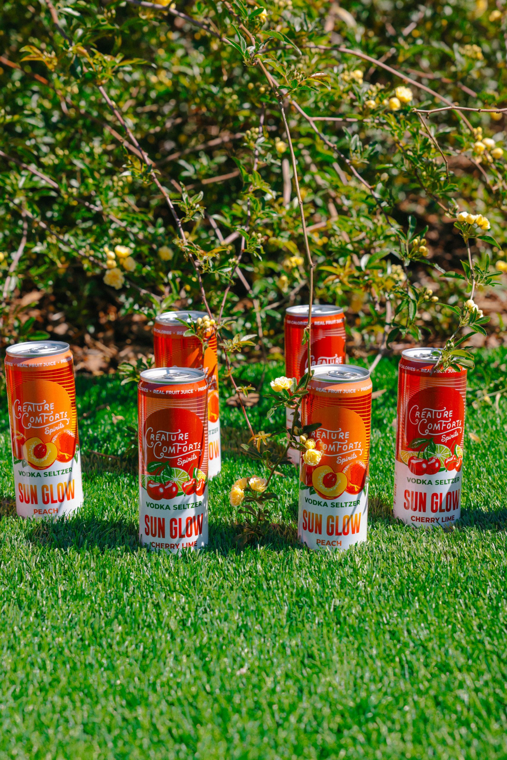 Sun Glow Cherry Lime